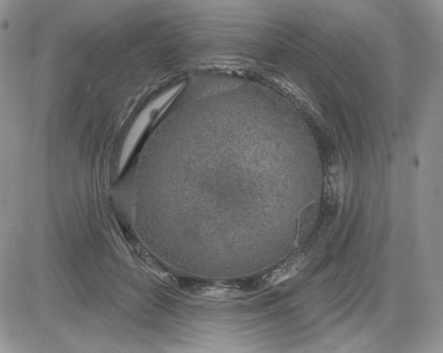 X0000081560504200701291153