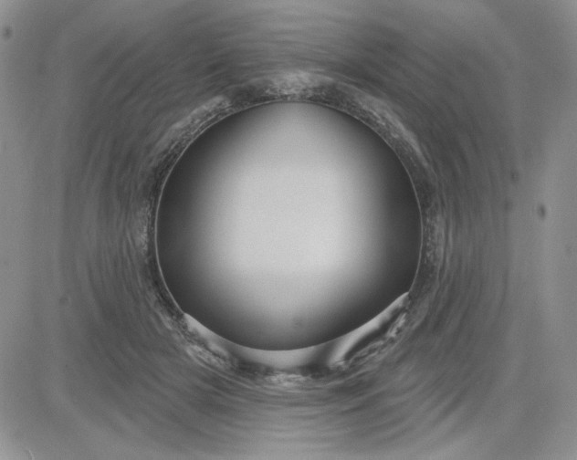 X0000081560505200701291153