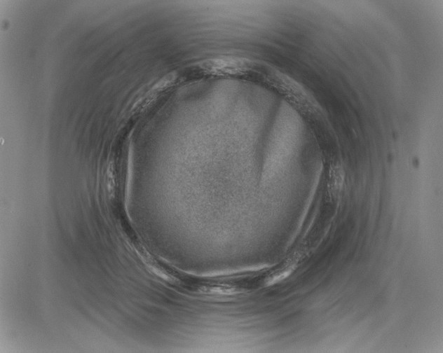 X0000081560506200701291153