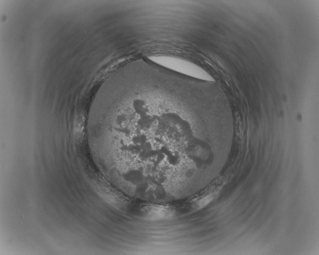 X0000081560507200701291153