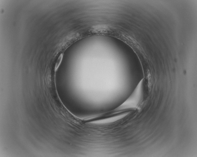 X0000081560508200701291153