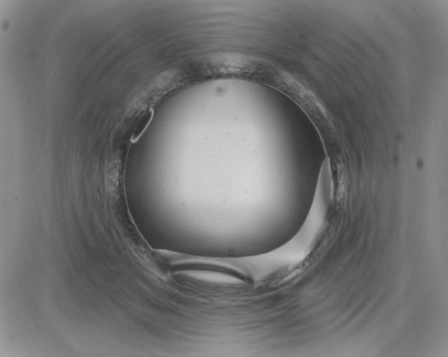 X0000081560509200701291153