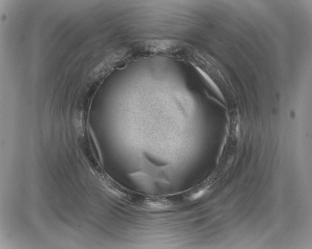 X0000081560510200701291153