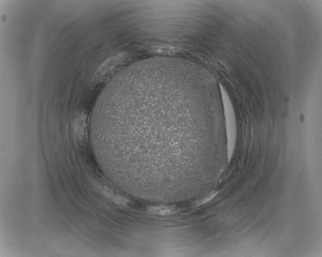 X0000081560511200701291153