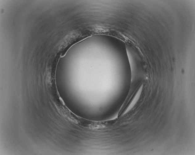 X0000081560512200701291153