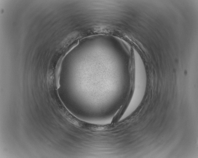 X0000081560513200701291153