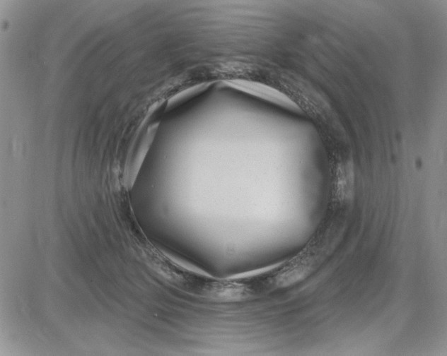 X0000081560514200701291153