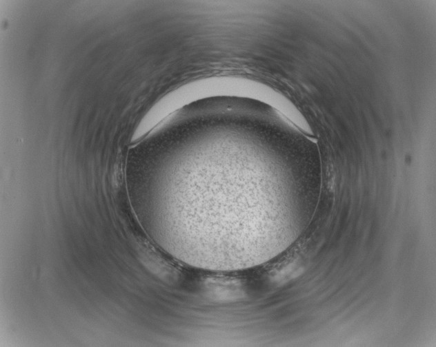 X0000081560515200701291153