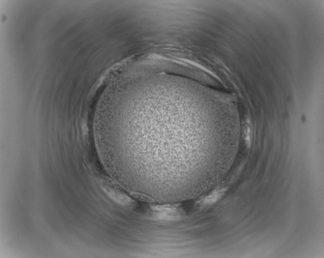 X0000081560516200701291153