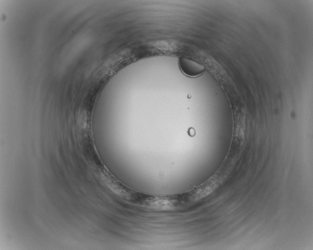 X0000081560518200701291153