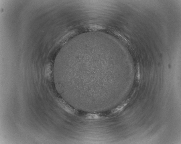 X0000081560519200701291153