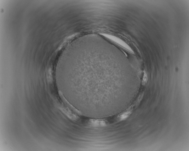 X0000081560520200701291153