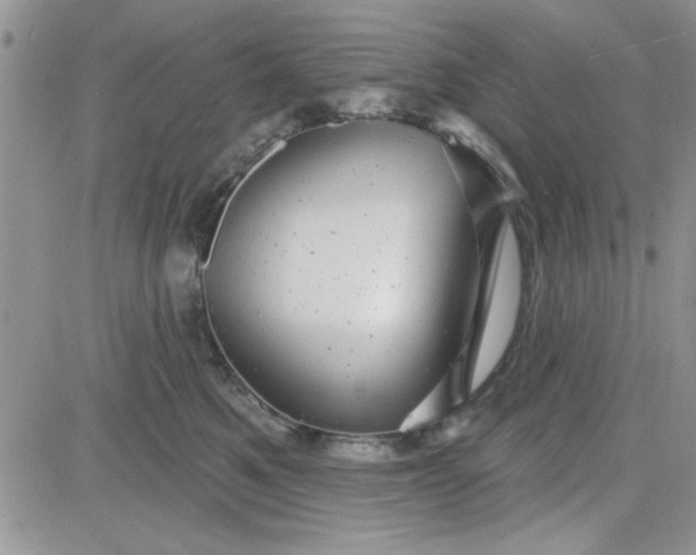 X0000081560521200701291153