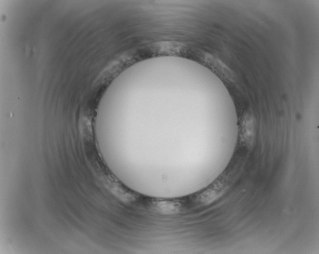 X0000081560522200701291153