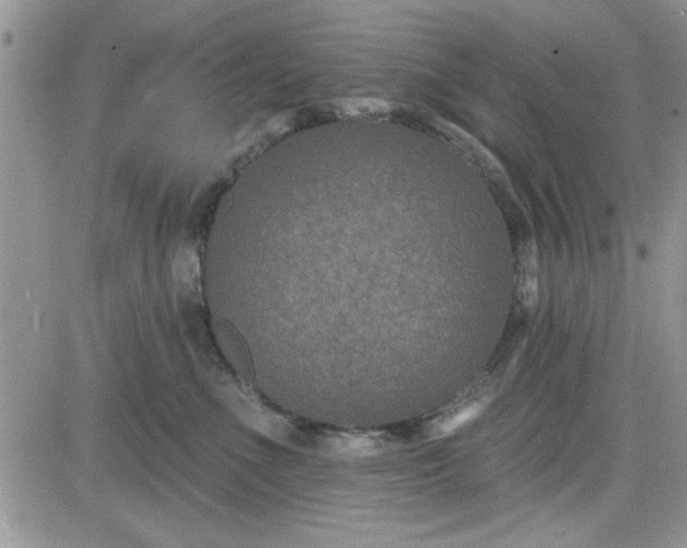 X0000081560523200701291153