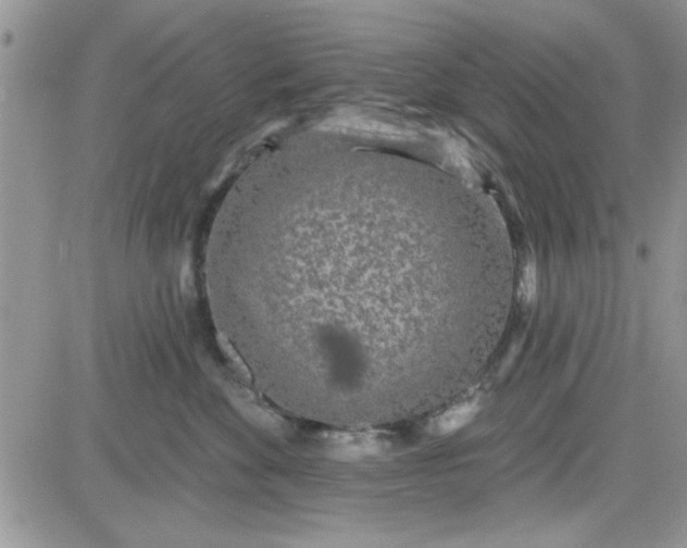 X0000081560524200701291153