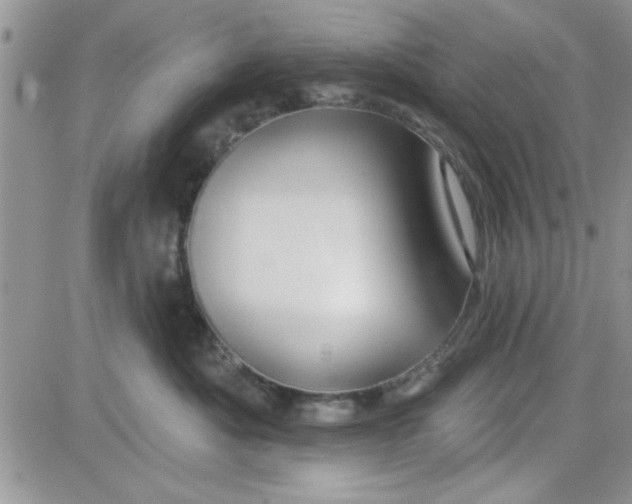 X0000081560525200701291153