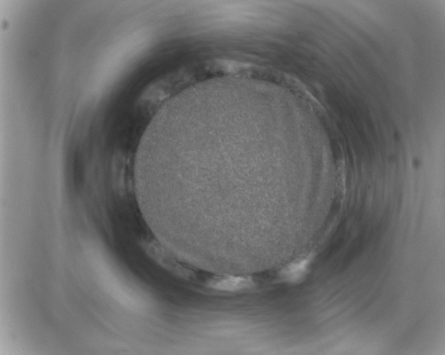 X0000081560527200701291153