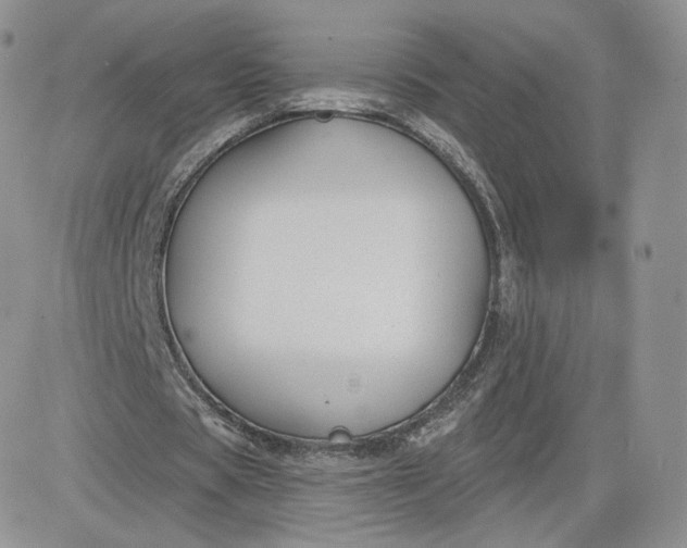 X0000081560529200701291152