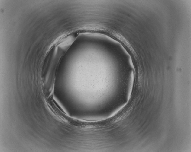 X0000081560530200701291152