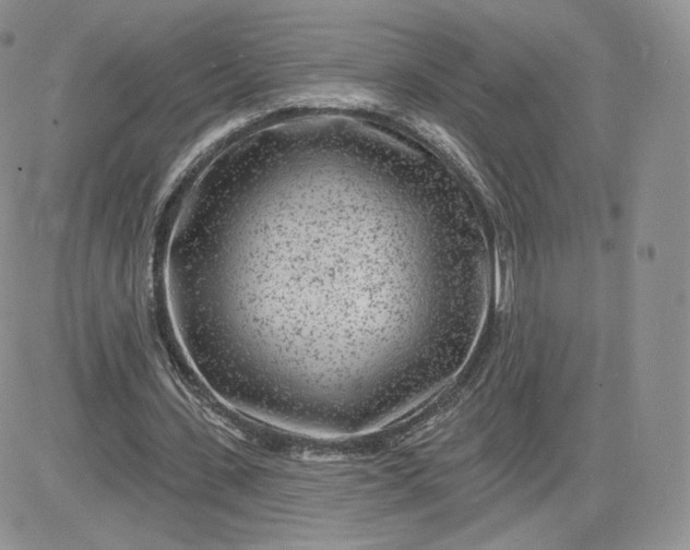 X0000081560531200701291152