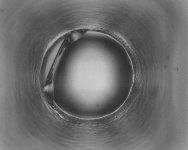 X0000081560532200701291152