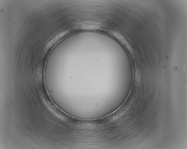 X0000081560533200701291152