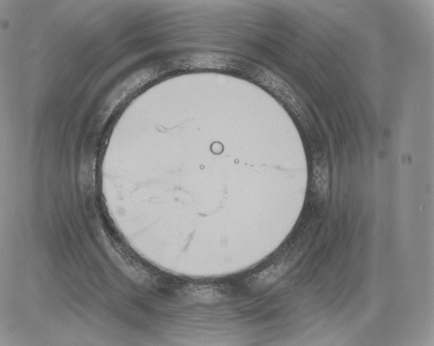 X0000081560534200701291152