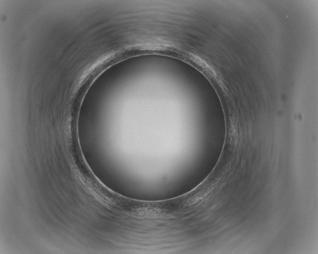 X0000081560535200701291152