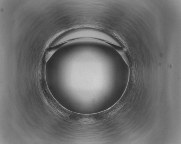 X0000081560536200701291152