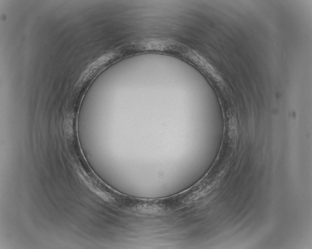 X0000081560537200701291152