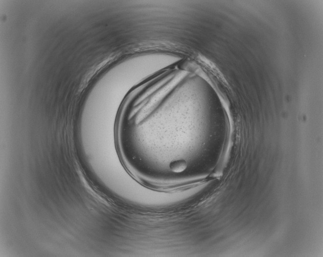 X0000081560538200701291152