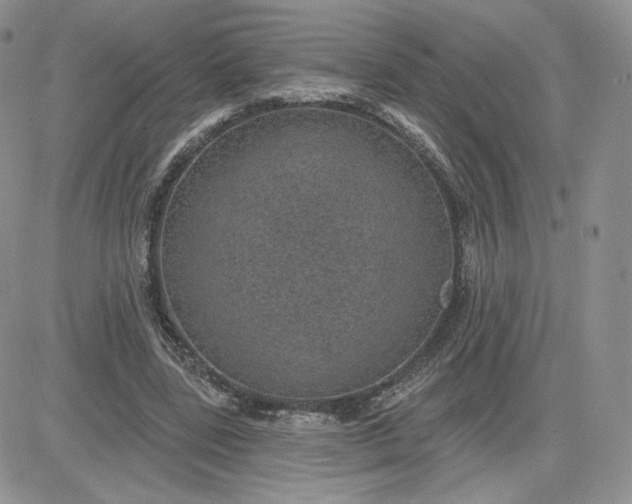 X0000081560539200701291152