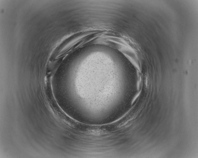 X0000081560540200701291152