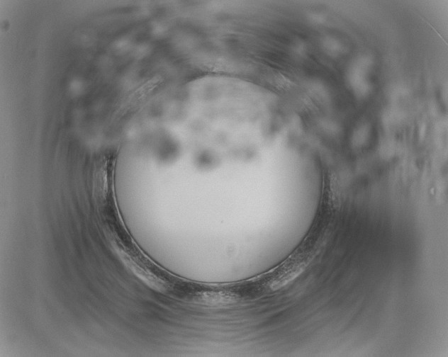 X0000081560541200701291152