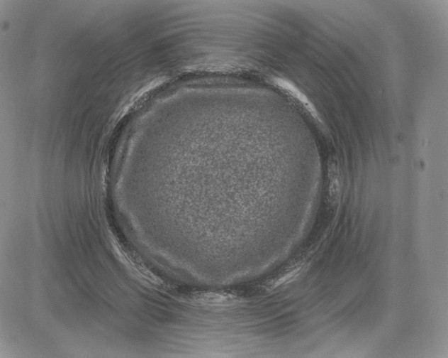 X0000081560542200701291152