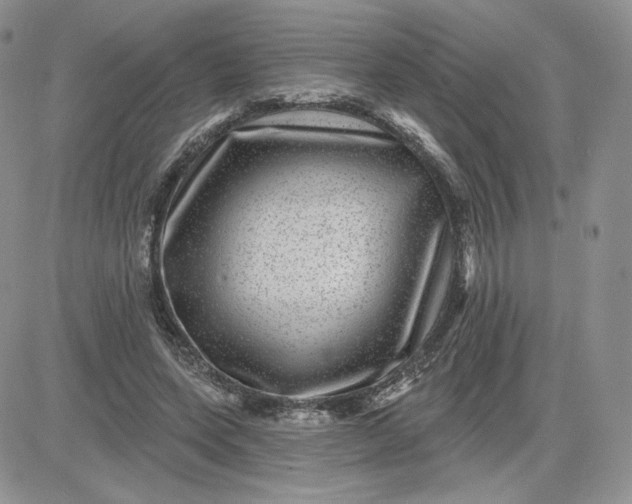 X0000081560543200701291152