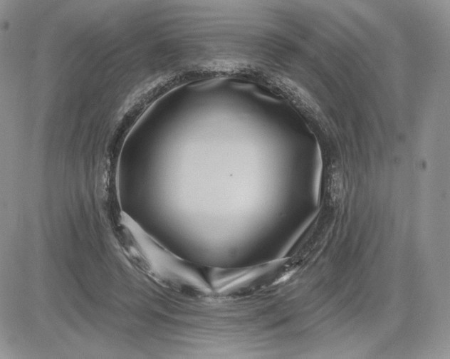 X0000081560544200701291152