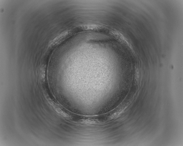 X0000081560545200701291152