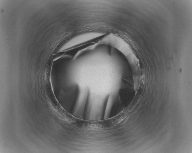 X0000081560546200701291152