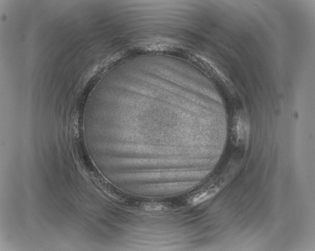 X0000081560547200701291152