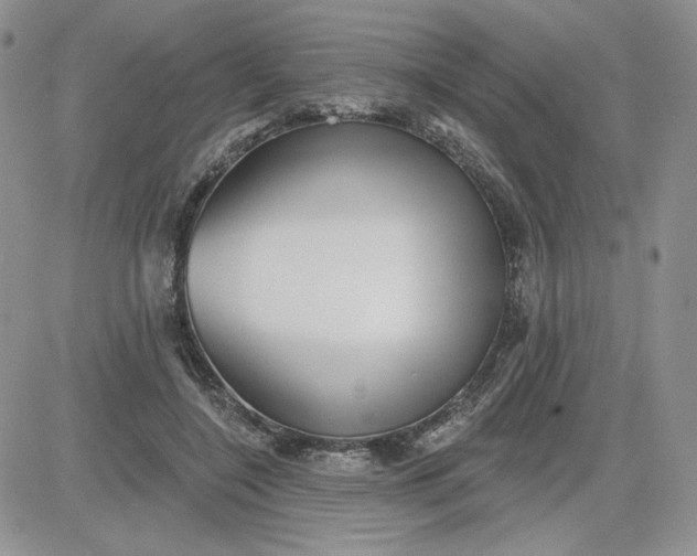 X0000081560548200701291152