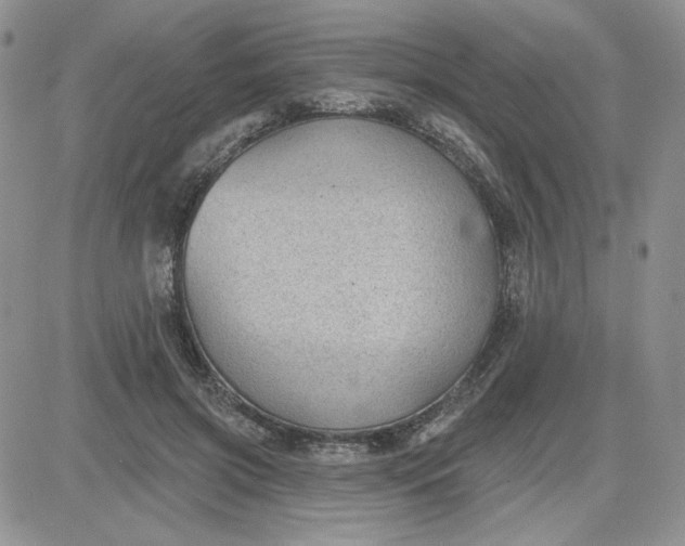 X0000081560549200701291152