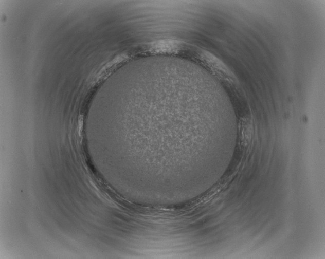 X0000081560550200701291152