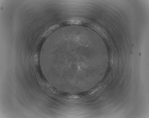 X0000081560551200701291152