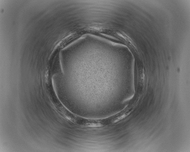 X0000081560552200701291152