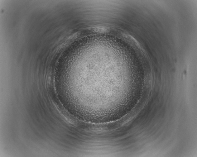 X0000081560553200701291152