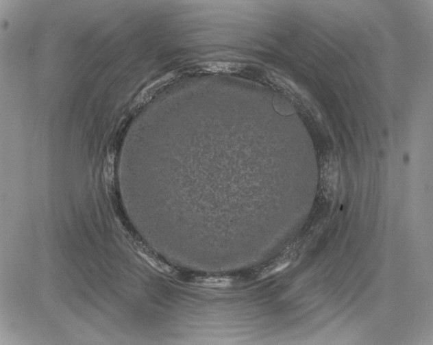 X0000081560554200701291152