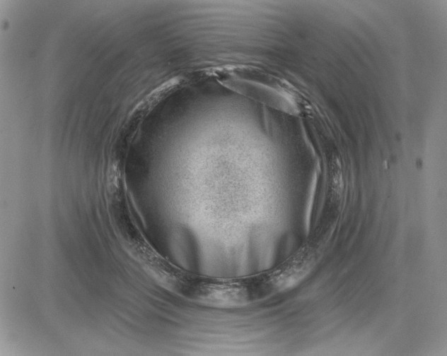 X0000081560555200701291152