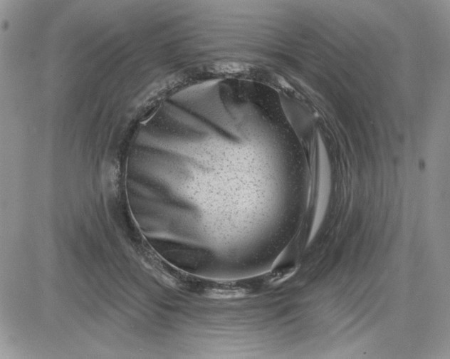 X0000081560556200701291152